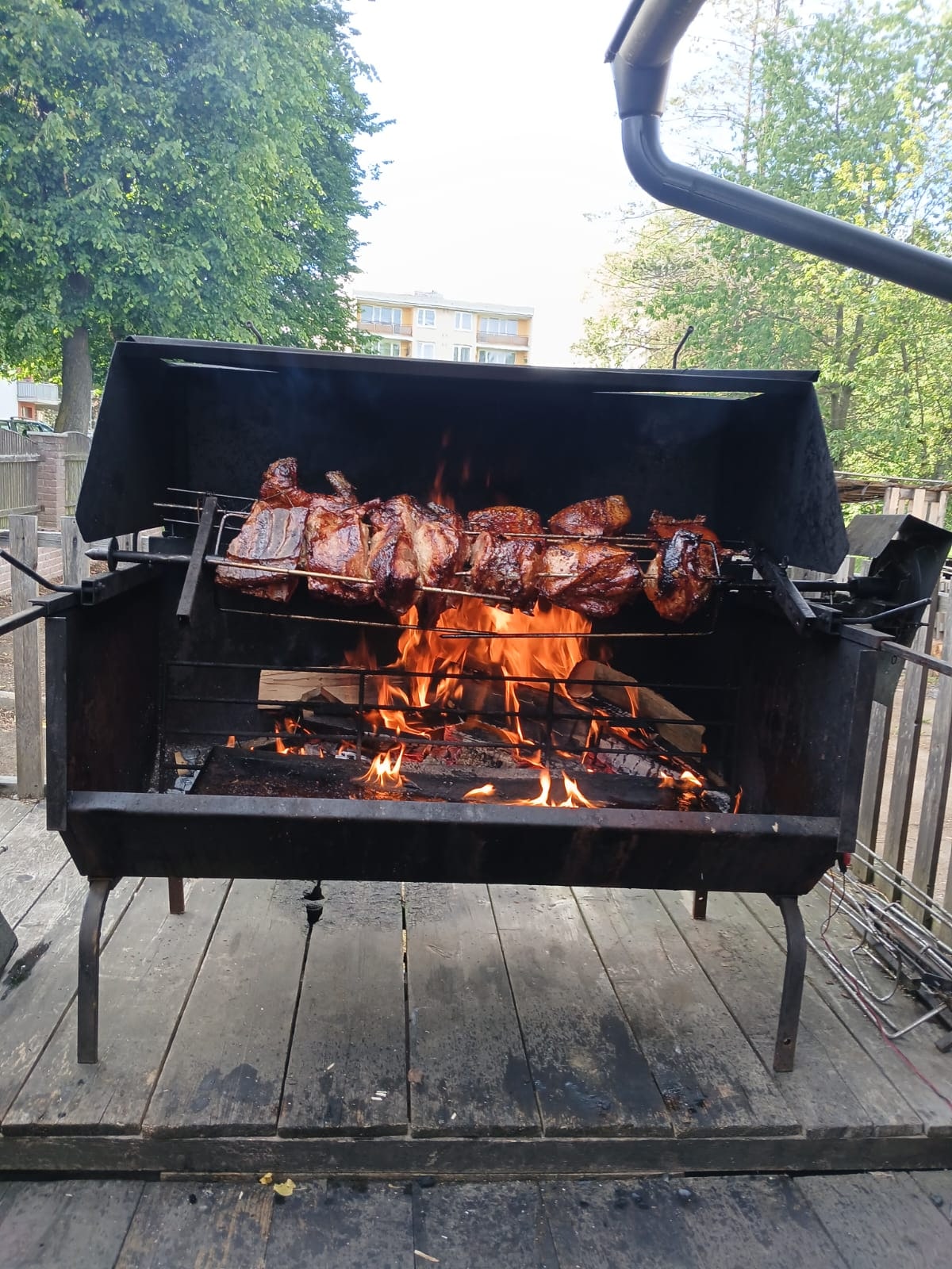 Maso na grilu